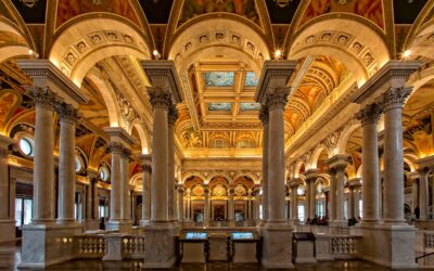 Should You Have a Palace in Your Portfolio?