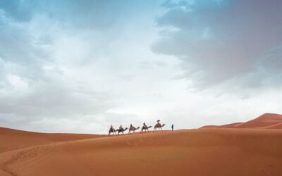 The Future of Hospitality in Morocco