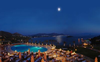 Why Luxury Hospitality Advisors Stands Out in the Hospitality Industry