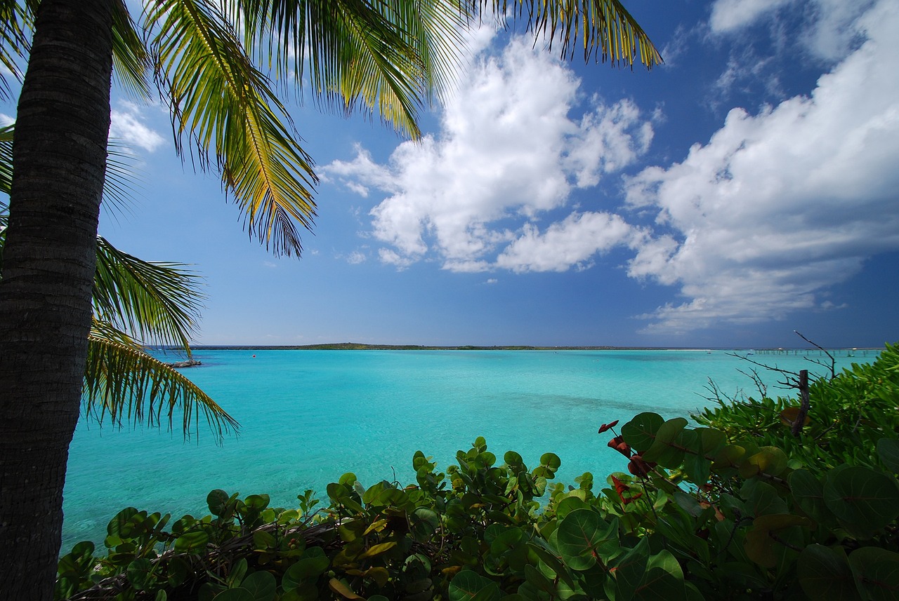 Caribbean View