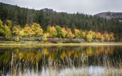 Idaho Lodge on 20 Acres
