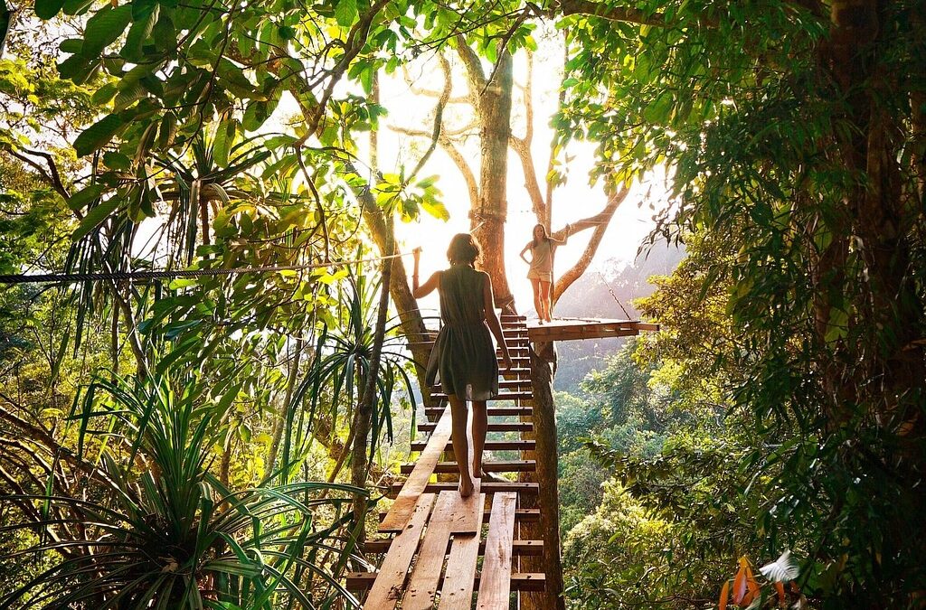 Jungle Bridge