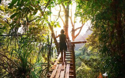 Why Brand Experience Is the New Value Driver in Hospitality