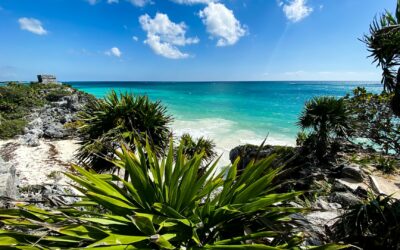 Immersive Wellness Beachfront Resort Expansion