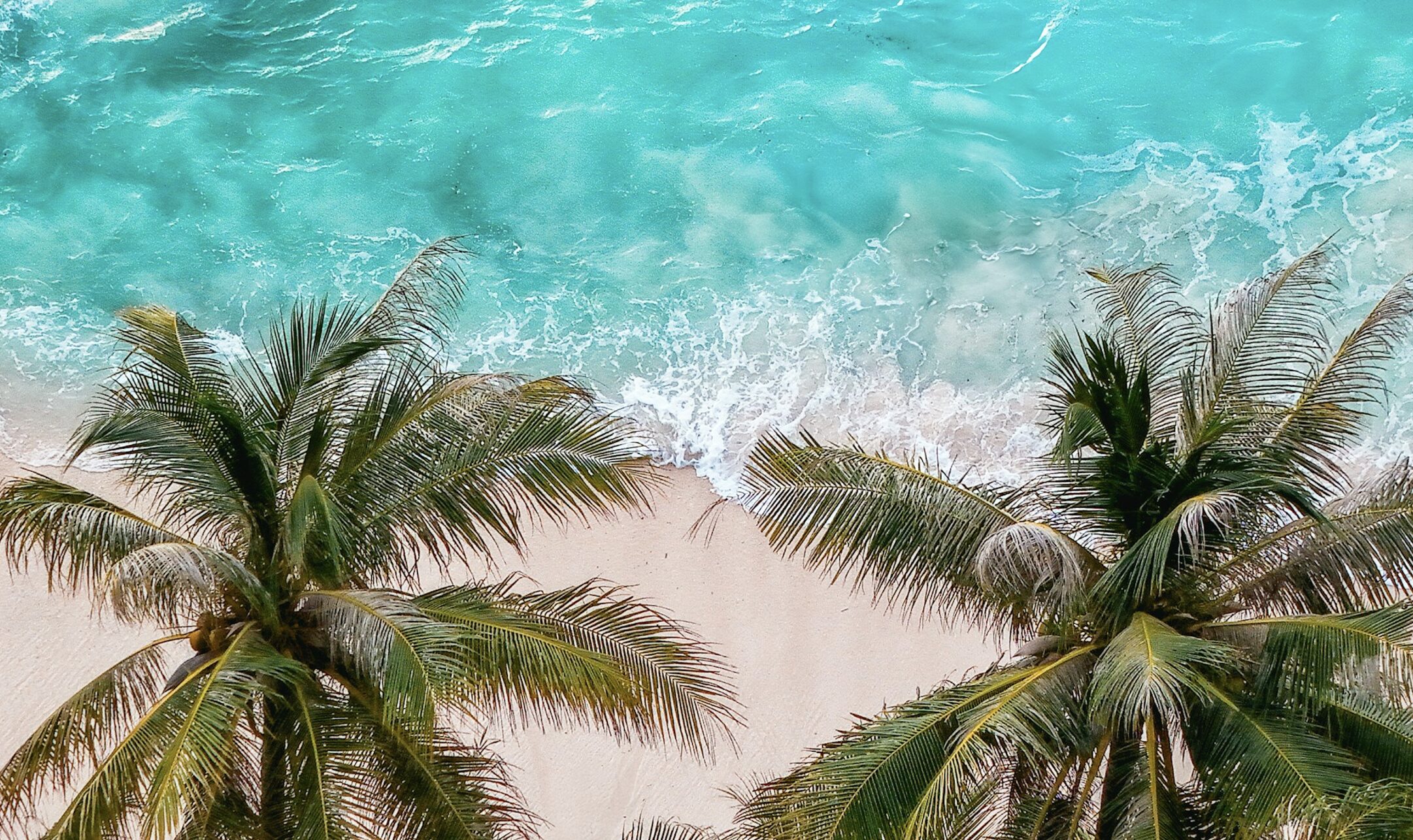 Curacao Development LHA