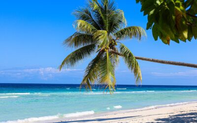 Luxury Beachfront Resort & Residences – North Coast, Jamaica