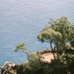 LHA Ocean View Project